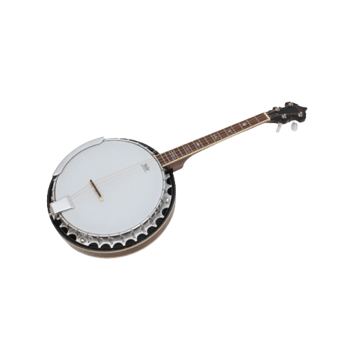 Affordable 4String Tenor Banjo